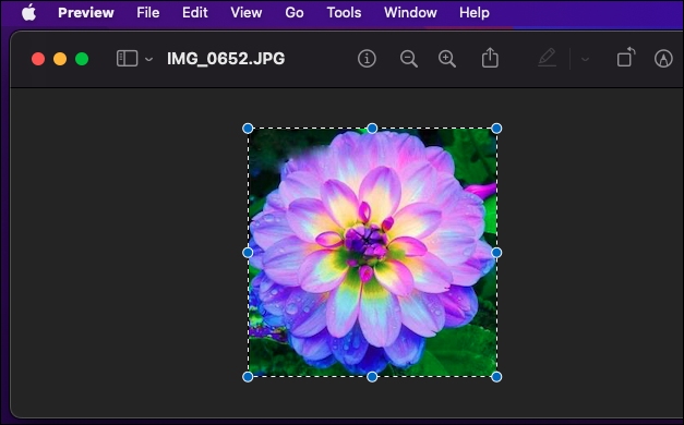 preview pdf reader for mac