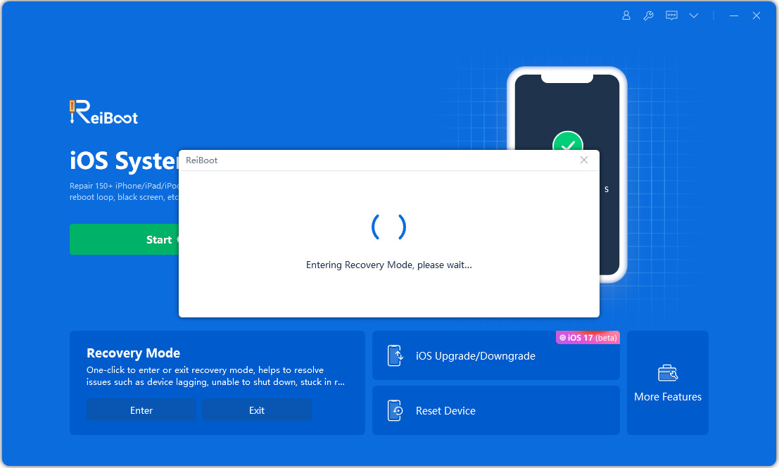 putting iphone 11 into recovery mode