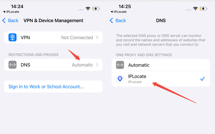 ianygo-setting-vpn-dns