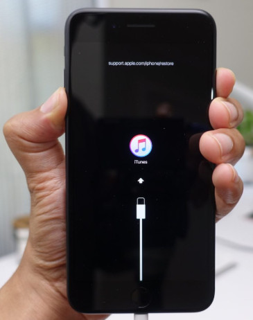 iphone apple logo shows then turns off