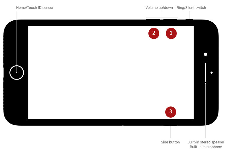 iphone water damage white screen
