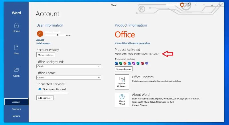 microsoft 2010 version information
