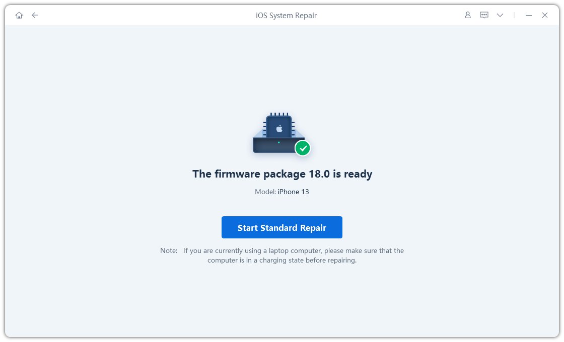 start standard repair - reiboot