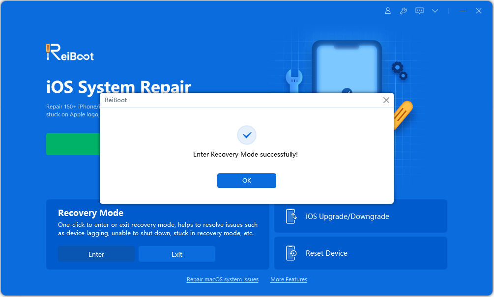 enter recovery mode successfully