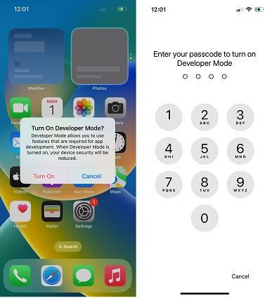 enable iPhone developer mode with iCareFone