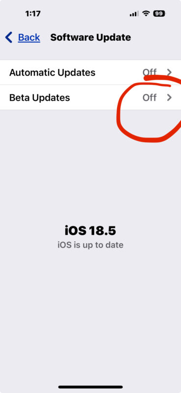 turn off ios 26 beta update