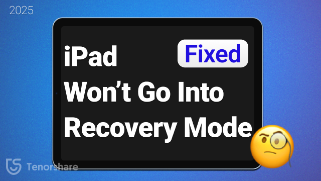 iPad not going into recovery mode screen example