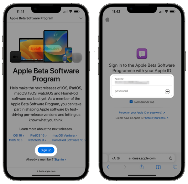 ios 26 join apple developer program